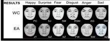 Ilustración que muestra las diferencias de percepción de seis expresiones faciales de emociones básicas, entre individuos caucásicos (WC) y asiáticos (EA). Fuente: Universidad de Glasgow.