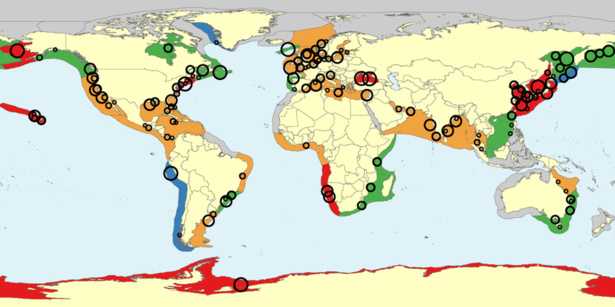 Mapa de las tendencias de evolución de las poblaciones de medusas en las zonas costeras. UBC. Mapa de las tendencias de evolución de las poblaciones de medusas en las zonas costeras. UBC.