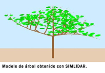 Modelo de árbol obtenido con SIMLIDAR. Fuente: UPM.