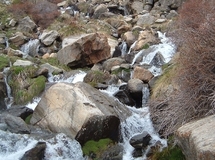 Curso de agua de cabecera en Sierra Nevada, que tiene un buen estado ecológico y que resulta un buen sensor del cambio climático. Imagen: UGR