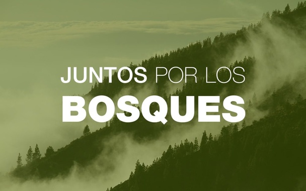 Juntos por los Bosques solicita que Agua y Biodiversidad se integren en el Ministerio de Agricultura Juntos por los Bosques solicita que Agua y Biodiversidad se integren en el Ministerio de Agricultura