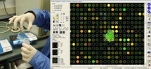 Placa de vidrio de un microarray de ADN de doble canal sin hibridizar (izquierda). A la derecha, imagen con la lectura de la expresión génica para algunos de los miles de genes que se escanean simultáneamente. Las aspas en algunas medidas indican errores en el proceso de hibridación o en el propio escaneo. Fuente: FIUPM.