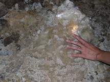 Cristales de yeso en la Cueva del Yeso. Tenerife. Imagen: Francisco Fariña.