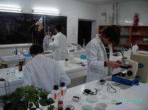 Descubriendo los micromundos en el laboratorio.   (Fuente: Instituto Juan de Herrera)