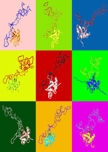 Formación polimórfica de una proteína neurotóxica. Cada color representa una simulación informática distinta de la proteína. CSIC.