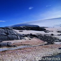 Fuente: Shutterstock. Fuente: Shutterstock.