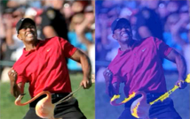 A la izquierda, la foto manipulada de Tiger Woods y un flamenco como un palo de golf. A la derecha, la exposición de las diferencias en la variaciones del ruido. Fuente: University at Albany