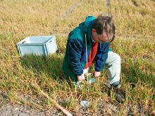 Foto: Rothamsted Research