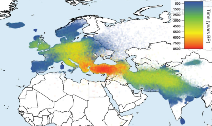 En este mapa se puede observar la difusión de las lenguas indoeuropeas. Los colores muestran la edad aproximada de cada familia con las ahora perdidas lenguas anatólicas en la base. Fuente: Materia.