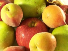 La proteína Pru p 3 está presente en melocotones y manzanas. Imagen: Il_coco/SXU. La proteína Pru p 3 está presente en melocotones y manzanas. Imagen: Il_coco/SXU.