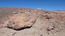 Rocas del desierto de Atacama. Fuente: Jacek Wierzchos. Rocas del desierto de Atacama. Fuente: Jacek Wierzchos.