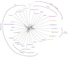 Red que muestra las relaciones entre familias lingüísticas. Fuente: AlphaGalileo. Red que muestra las relaciones entre familias lingüísticas. Fuente: AlphaGalileo.