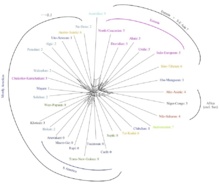Red que muestra las relaciones entre familias lingüísticas. Fuente: AlphaGalileo.