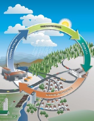Ciclo de la bioenergía.  Department of Natural Resources Canada, 2004.