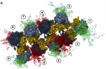 Recreación de una nanomáquina replicante de proteínas. Imagen: jurvetson. Fuente: Flickr.