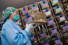 Estabulario del IDIBELL. Fuente: IDIBELL. Estabulario del IDIBELL. Fuente: IDIBELL.