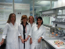 Las investigadoras de la UPV. Fuente: RUVID. Las investigadoras de la UPV. Fuente: RUVID.