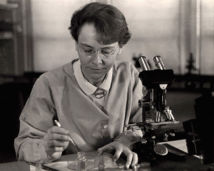 Barbara McClintock en 1947, trabajando en su laboratorio. Fuente: Wikimedia Commons.