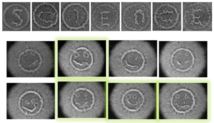 Letras construidas controlando las densidades celulares de las bacterias.  Fuente: Autores.