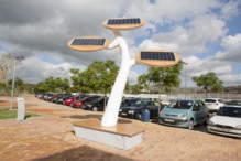 Uno de los árboles instalados en la Jaume I. Imagen: Damián Llorens. Fuente: UJI. Uno de los árboles instalados en la Jaume I. Imagen: Damián Llorens. Fuente: UJI.