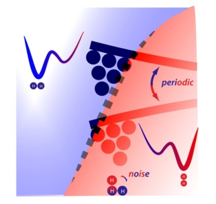 Representación del movimiento concertado entre la punta de un oscilador (el sistema de movimiento periódico) y una molécula de hidrógeno (H-H) que alterna entre dos estados (la fluctuación ’ruidosa’). Cuando la punta se acerca a la molécula (indicado en rojo) la molécula que se mueve aleatoriamente tiende a pasar más tiempo en el estado en que consigue empujar la punta hacia arriba. Cuando la punta está más arriba la molécula cambia a una forma (azul) en la que tiene menos efecto sobre la punta.  Las fuerzas que actúan periódicamente en la punta hacen que su movimiento cambie. Fuente: CIC nanoGUNE.