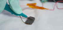 Un investigador corta la “piel” artificial con un bisturí. Imagen: Linda A. Cicero. Fuente: Stanford News Service.