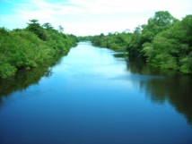 El Orinoco representa uno de los ecosistemas más ricos en América del Sur. Imagen: Darkiller.