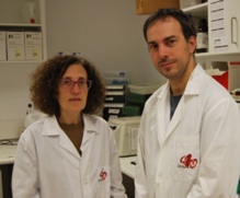 Los investigadores Virginia Nunes y Miguel López de Heredia. Fuente: IDIBELL.