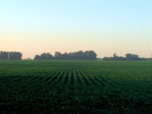 La agricultura es uno de los entornos laborales que propicia una mayor exposición a carcinógenos y disruptores endocrinos, según el estudio. Fuente: Wikimedia Commons.