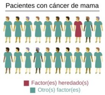 Aproximadamente el 5% de las pacientes con cáncer de mama (representadas en color rojo) «heredan» una forma peculiar de genes que le hacen susceptibles a la enfermedad. El resto de pacientes pueden desarrollarlo por otros factores. Fuente: Wikimedia Commons.