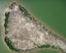 Las imágenes de la isla que facilita el aeromodelo permiten hacer zoom sobre las gaviotas y sus nidos. Imagen: Francesc Sardà-Palomera et al.