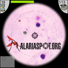 Imagen del videojuego Malariasport.org. Fuente: UPM.