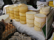 Las proteínas del queso sirven para proteger a los probióticos. Fuente: AlphaGalileo.