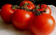 El tomate, rico en compuestos fenólicos, es uno de los principales componentes del gazpacho. Imagen: Hedwig Storch. Fuente: Wikimedia Commons.