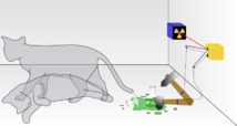 Representación de los dos estados simultáneos del gato de Schrödinger, metáfora de los estados cuánticos. Fuente: Wikimedia Commons.