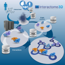 Esquema de Interactome 3D. Fuente: IRB. Esquema de Interactome 3D. Fuente: IRB.