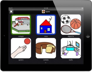 Imagen de la aplicación Picaa. Fuente: UGR.