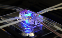 “Pulmón en un chip” creado por investigadores del Wyss Institute for Biologically Inspired Engineering de la Universidad de Harvard (Estados Unidos). Fuente: Wyss Institute for Biologically Inspired Engineering.