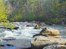 Georgia Natural Resources Conservation