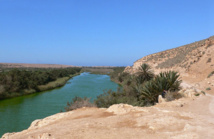 Parque Nacional de Souss-Massa, Marruecos. Imagen: Jimfbleak. Fuente: Wikimedia Commons.