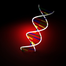El genoma de una persona da mucha información sobre sus parientes. Imagen: svilen001. Fuente: StockXchng.