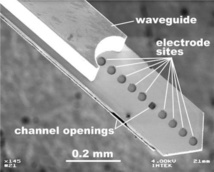 Sonda neural basada en polímeros con electrodos de platino para la medición de señales eléctricas, canal de inyección de fluidos, y guía de ondas para la estimulación óptica. Fuente: IMTEK/Universidad de Friburgo.