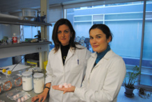 Las investigadoras, junto a su golosa creación. Fuente: UPV. Las investigadoras, junto a su golosa creación. Fuente: UPV.