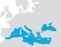 Perseus es el proyecto de conservación del medio marino más importante que la Unión Europea ha desarrollado hasta el momento en el mar Mediterráneo y en el mar Negro. Fuente: UB.