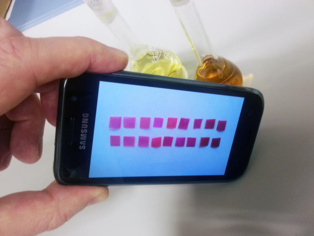 El móvil detecta las diferencias de color de varias membranas, sumergidas en aguas con distinta concentración de mercurio. Imagen: J. M. García et al. Fuente: Universidad de Burgos/SINC.