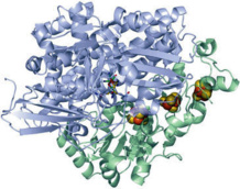 Representación de una hidrogenasa de níquel-hierro. Fuente: U. de Oxford/SINC.