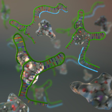 Imagen artística del biosensor "natural" en pleno funcionamiento. Fuente: AlphaGalileo.