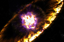 Esta imagen combina datos del Observatorio Espacial Herschel de la ESA con las observaciones de rayos gamma (en magenta) procedentes de la supernova W44 realizadas por Fermi. Fuente: NASA/DOE/Fermi LAT Collaboration y ESA/Herschel.