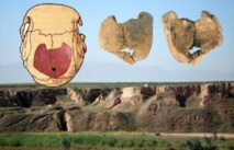 Vista del yacimiento de Xujiayao y de las piezas del cráneo Xujiayao 11. Imagen: Erik Trinkaus. Fuente: WUSTL.