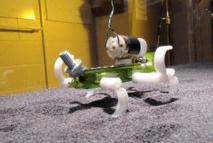 El robot se mueve por la supeficie granular. Imagen: Chen Li et al. Fuente: Science.